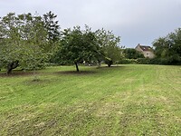 IMG_8424