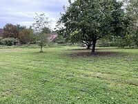 IMG_8425
