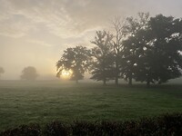 IMG_8428
