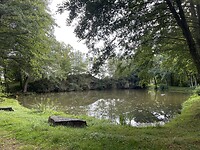 IMG_8441
