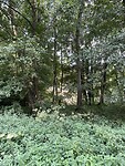 IMG_8440