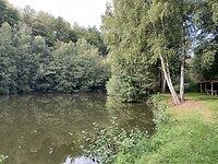 IMG_8439