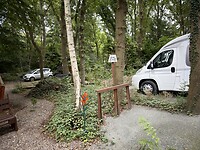 IMG_9406