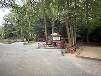IMG_9407