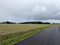 IMG_9437