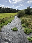 IMG_9436