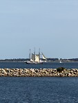 IMG_9453