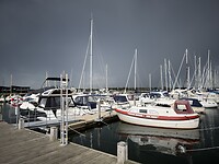 IMG_9455