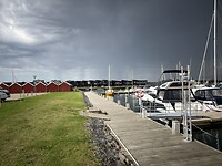 IMG_9456