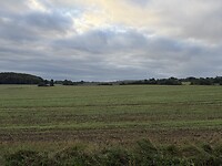IMG_9570