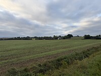 IMG_9571
