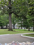 Graceland