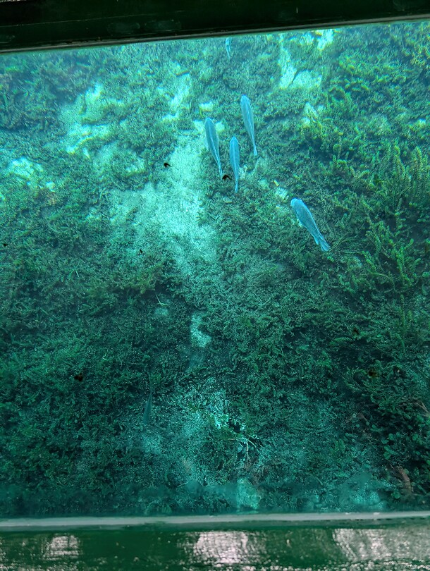 Onder water