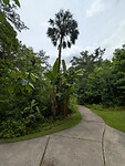 Park