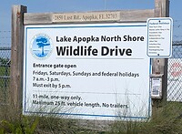 Wildlife drive