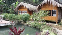 Onze bungalows.