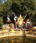 Pagode Du Hang