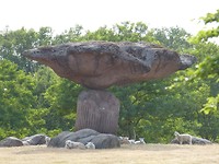 Kunst Dalfsen3