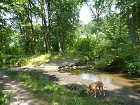 Brunssum 6