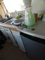DSCN2289