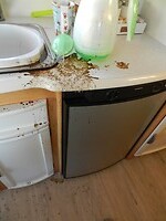 DSCN2291