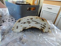DSCN2292