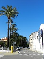 DSCN2508