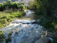 DSCN2510