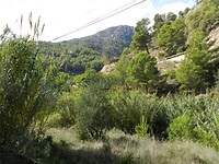 DSCN2540