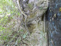 DSCN2543