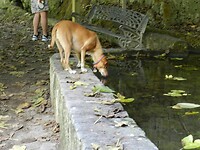 DSCN2545