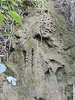 DSCN2546
