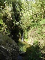DSCN2548
