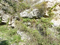 DSCN2551