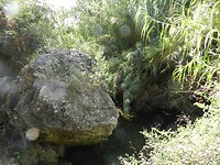 DSCN2554