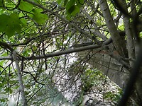 DSCN2563