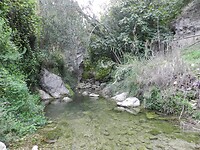 DSCN2558