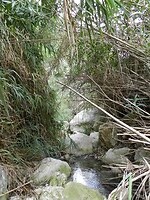 DSCN2559