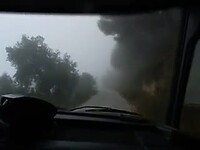 Door de mist