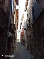 1650825884617