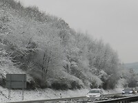 DSCN4060