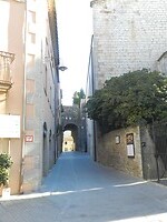 DSCN4115