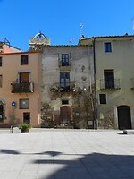 DSCN4120