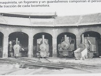 DSCN4536