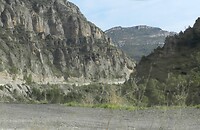 DSCN4551
