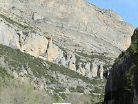 DSCN4564