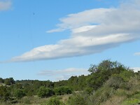 DSCN4593