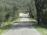 DSCN4601