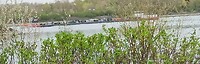 IMG_20230410_172401