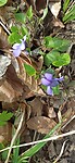 IMG_20230409_132114